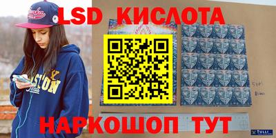 spice Кунгур