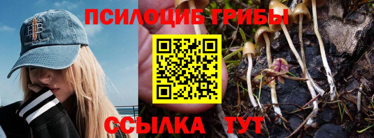 Псилоцибиновые грибы MAGIC MUSHROOMS Еманжелинск