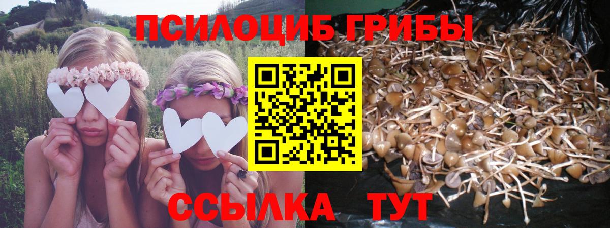 Псилоцибиновые грибы GOLDEN TEACHER  Вход с VPN  Еманжелинск 